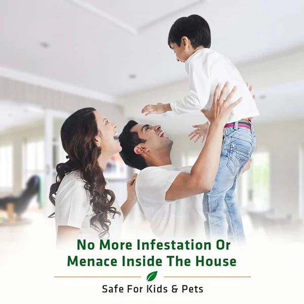 Termite killer Premium Spray – Buy 1 Get 2 FREE (50ml x 3)