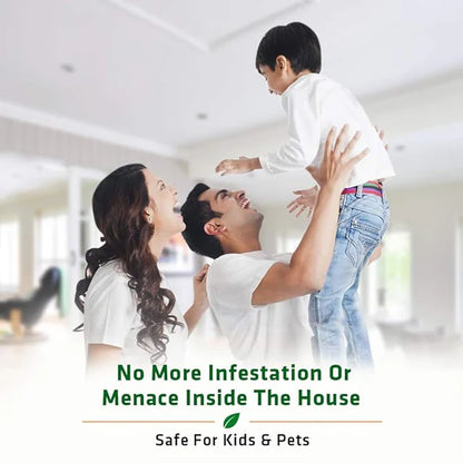 Termite killer Premium Spray – Buy 1 Get 2 FREE (50ml x 3)